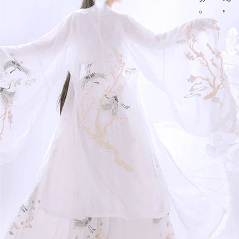 ชุดฮั่นฝูโบราณจีนสำหรับผู้หญิง - Embroidery Dress บทวิจารณ์และราคา